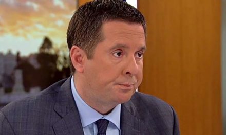 Devin Nunes Could Definitely Be Defeated
