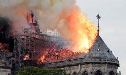 Trump’s Firefighting Advice for Notre-Dame Was Revealing