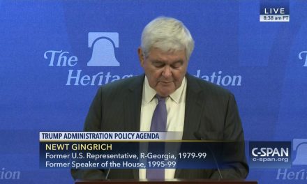 Wanker of the Day: Newt Gingrich