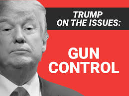 Trump’s Reelection Strategy Does Not Include Gun Control