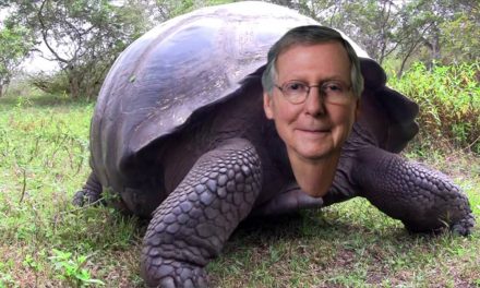 Mitch McConnell is a Menace But He’s Overrated