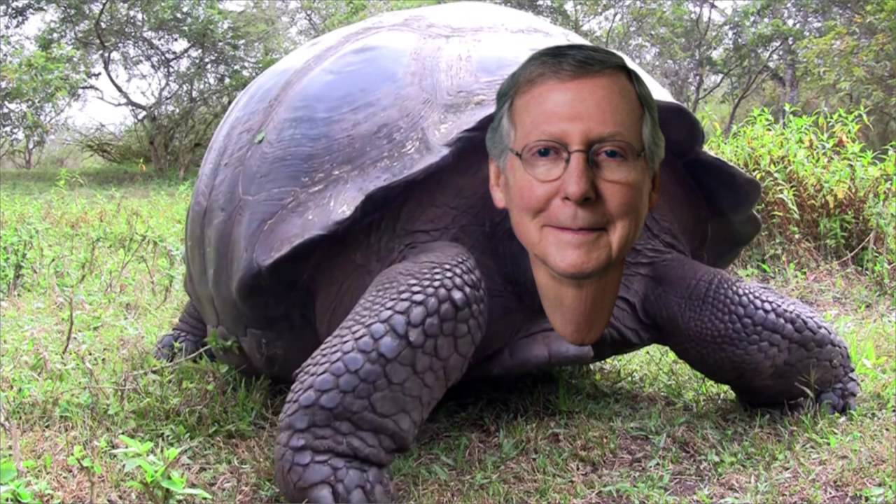 Mitch McConnell is a Menace But He’s Overrated