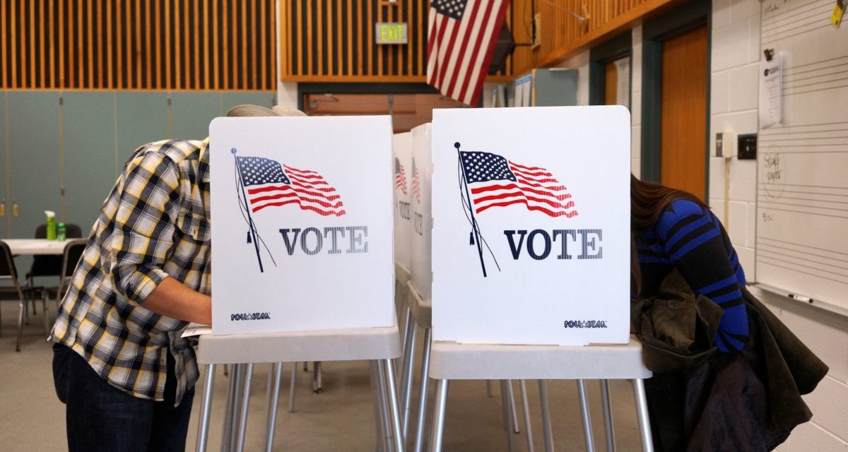 The Midterms Will Not Be Decided By Reasonable Voters
