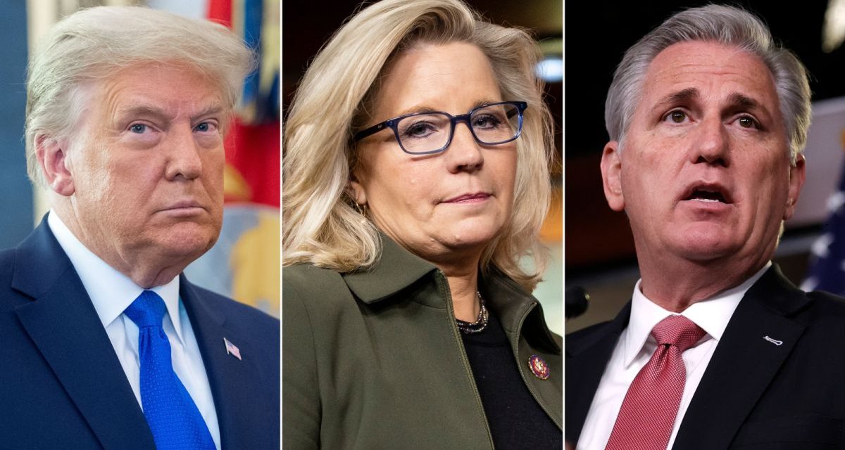 Liz Cheney is Off-Message, But That’s Not Her Fault