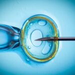 The Southern Baptists Come Out Against IVF
