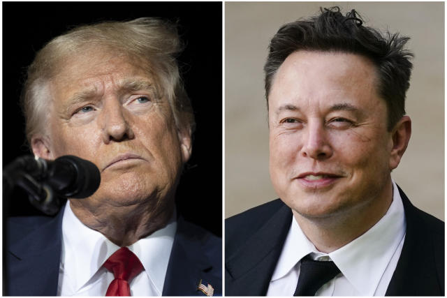 Trump Self-Injures Himself in Musk Interview