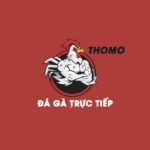 Profile picture of Đá gà trực tiếp Thomo