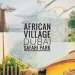 Profile picture of africanvillage